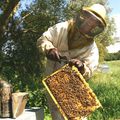 Le jeune apiculteur lance sa gamme de miels « bio »