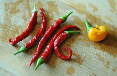 Avec les piments du jardin comment faire son huile à pizza ? 