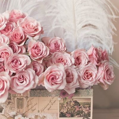 **Roses**