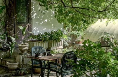 Préparer son jardin pour le printemps *