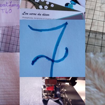 Journal n°7 nouveau projet, déco , commande