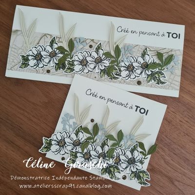Cartes Galerie Splendide 2ème !