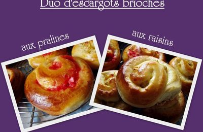 Duo d'escargots briochés (pralines & raisins)