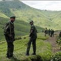 RDC: les combats dans le Nord-Kivu pourraient prendre une dimension régionale 