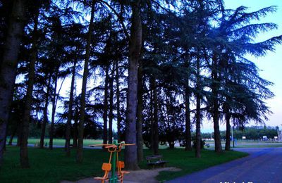 Fitness en plein air au Parc de Parilly avec l'utilisation des "Body Boomers",mis à la disposition des visiteurs.. (Rhône)