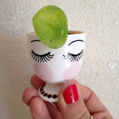 Sweet Gardening Part#3