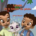 Liann et le bâton de pluie, de Suzanne Max et Alain Benoist ( Service presse )