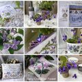 Humble violette
