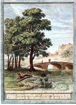 fables de la fontaine