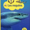 Les requins . - Gallimard Jeunesse, 2016 (Mes grandes découvertes)