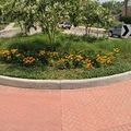 Rond-point à Meadows Place (Texas)