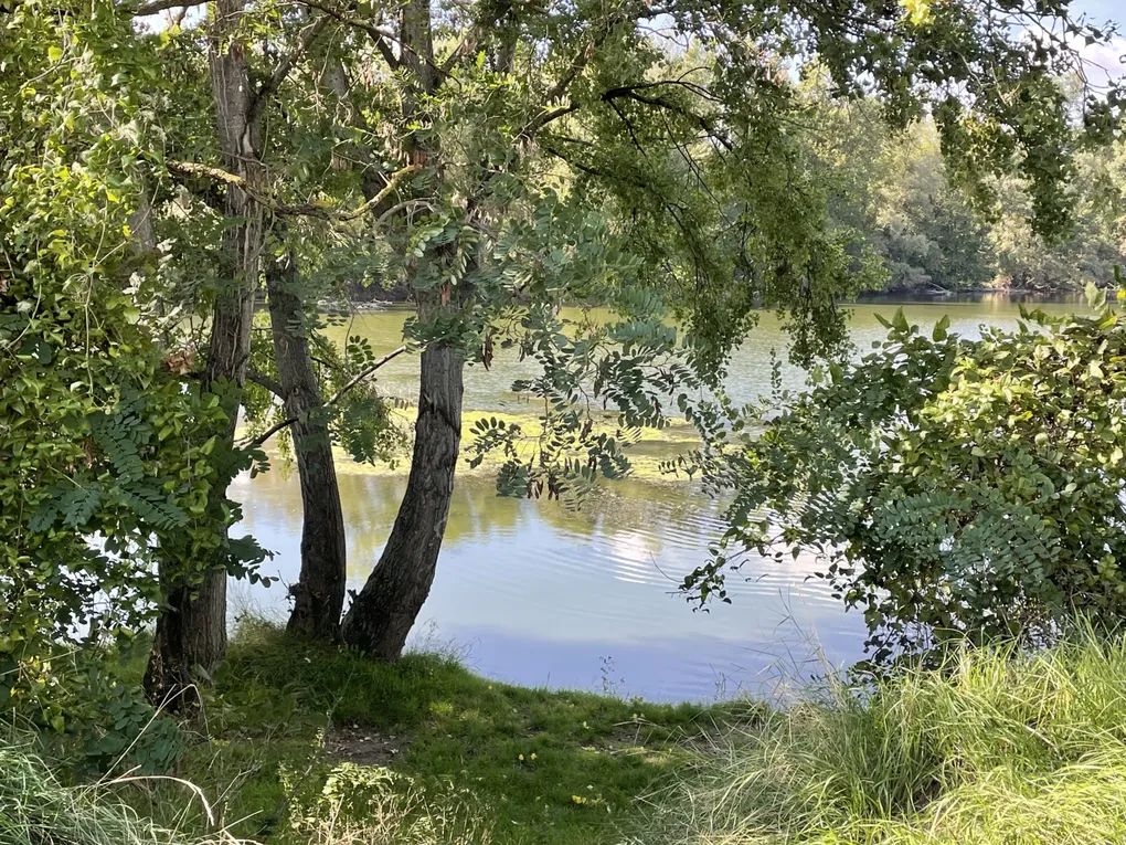 Lundi 06 octobre 2025 ma rando du mercredi 01 oct 2025  : L’“île de Mirefleurs” est une ancienne carrière réaménagée en plan d’eau, proche de la rivière Allier, à Mirefleurs dans le Puy‑de‑Dôme (63 ) Mon diapo au fil de mes pas 