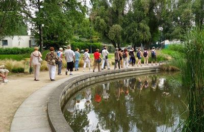 Sur la trace des Castors de parcs en jardins ...