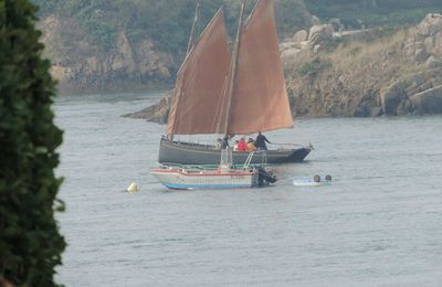 Embarquement pour..... l'île de Bréhat