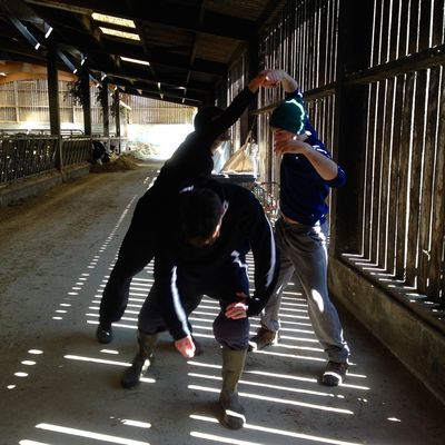 In-stabulation hier soir au lycée agricole Le