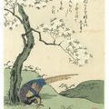 Komatsuya Hyakki 小松屋百鬼 . 1720-1793 . Cherry Tree and Pheasant . 1765