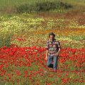 Le printemps au Maroc...