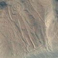 Les gigantesques dessins des Nazcas