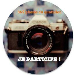 Défi fou : 365 photos du quotidien