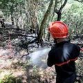 Il voulait se réchauffer