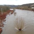 Moselle