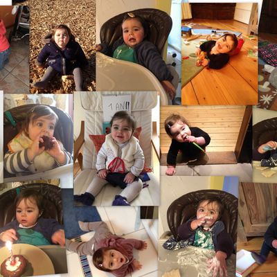 Le douzième mois d'Adèle