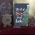 Un vrai Noël pour Jade - Marie Anjoy