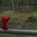 Première sortie de Yarny.