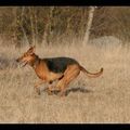 Une nouvelle série de photos aux Brotteaux