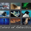 Camille Fresser - "Colors of Antartica"