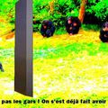 2008 - Odyssée dans l'impasse