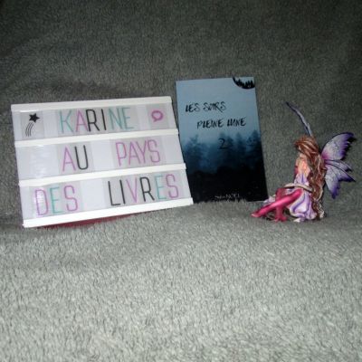 Les soirs de pleine lune - 2 de Sylvie NOEL