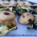 Mi-Choco-Mi-Cranberries CookieS