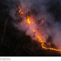 Incendies en Sibérie