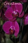 Crea2moi