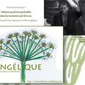 Dans un moment de crise profonde, pouvoir se relier aux forces spirituelles / Elixir floral européen : Angélique