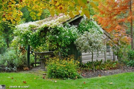 Abri de jardin