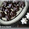 PeTiTeS MeRinGUeS TouT CHoCo