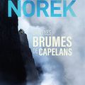 Dans les brumes de Capelans, thriller d'Olivier Norek