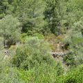 La Corse - Découverte du village oublié de Candela 2