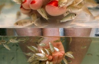 Fish Pedicure