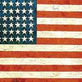 Flag Jasper Johns