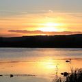 Le lac de Madine en fin de journée / The Lake of Madine at the end of the day