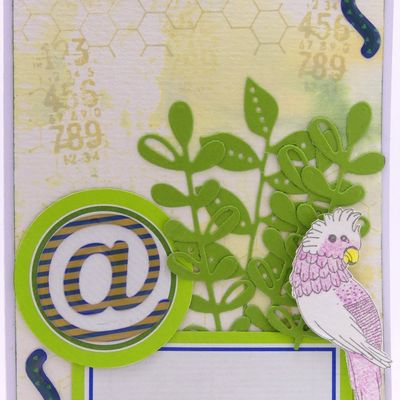Carte au cacatoès