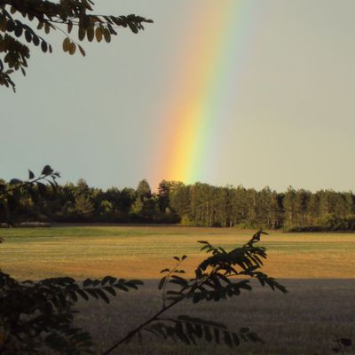 Ballade en Bourgogne