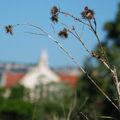 Les canaux de Valence