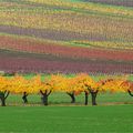 Lumière et couleurs d'automne