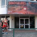 Les dinosaures à Nouméa 