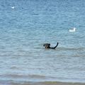  Un dimanche à la plage