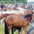 La séculaire foire de la Sainte-Croix de Lessay n'aura pas lieu en 2020: Covid et jacobinisme, ça fait un de trop!